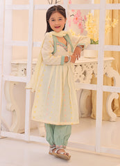 Khaddar Embroidered Outfit Set — Pale Yellow