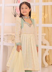 Khaddar Embroidered Outfit Set — Pale Yellow