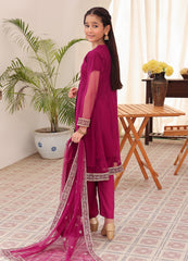 Embroidered formal 3 piece suit for girls