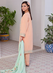Embroidered 3 piece suit for teens